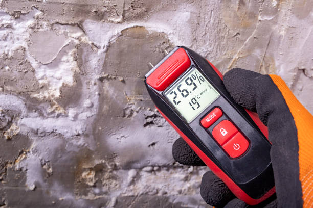 Best Residential Mold Removal  in Port Aransas, TX