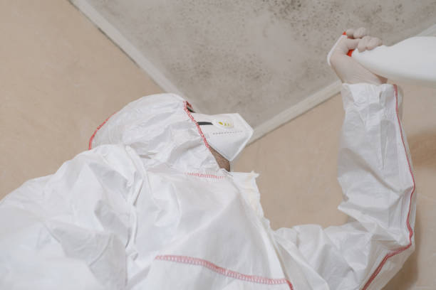Best Fast Mold Removal  in Port Aransas, TX